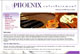 CSS brochure for an entertainment agency.-alleventmusic.net